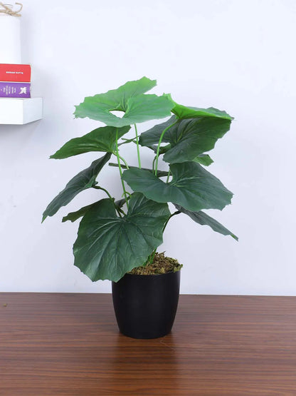 Artificial Miniature PVC Silk Begonia Leaf Green Floor Plant with Pot (12 Leaves, 55 cm Tall, Green)