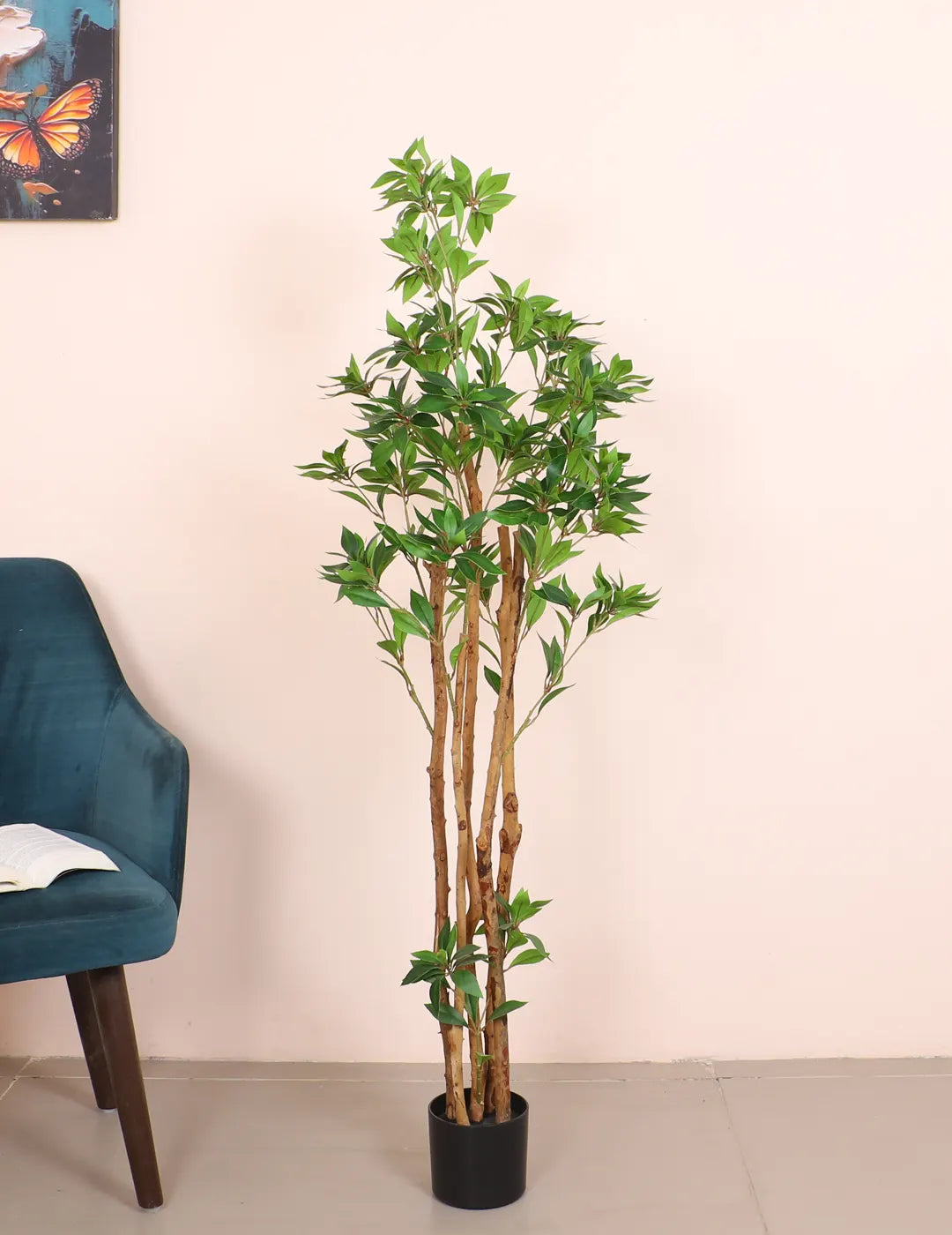 Artificial Midas Ruscus Lush Plant with Basic Black Pot - 5 Feet Tall