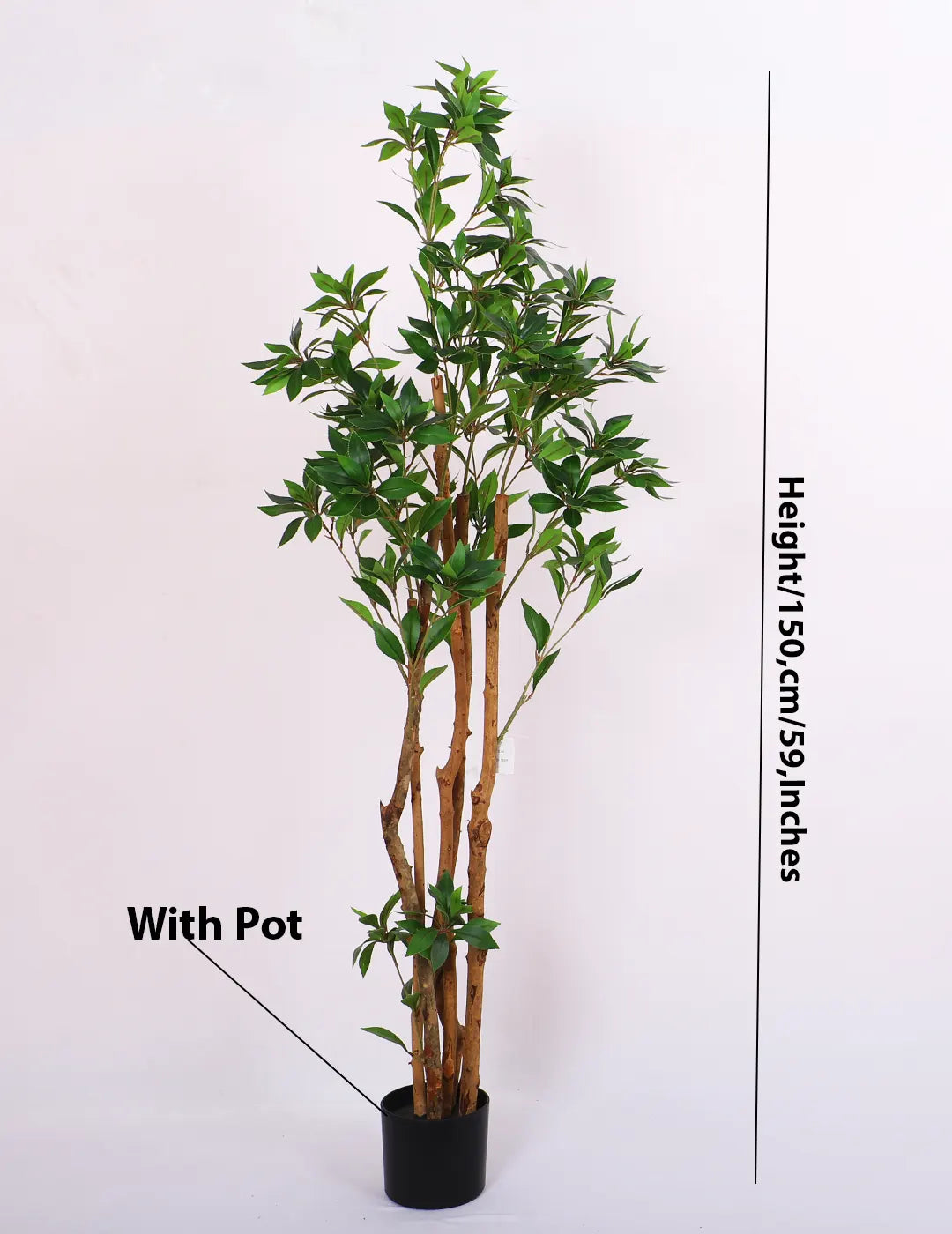 Artificial Midas Ruscus Lush Plant with Basic Black Pot - 5 Feet Tall