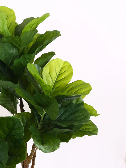 Artificial Evergreen Fiddle Fig Plant with Basic Black Pot - 120 cm Tall Green