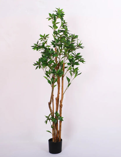 Artificial Midas Ruscus Lush Plant with Basic Black Pot - 5 Feet Tall