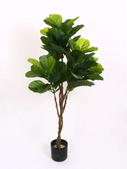 Artificial Evergreen Fiddle Fig Plant with Basic Black Pot - 120 cm Tall Green