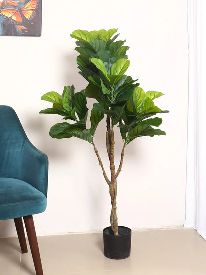 Artificial Evergreen Fiddle Fig Plant with Basic Black Pot - 120 cm Tall Green