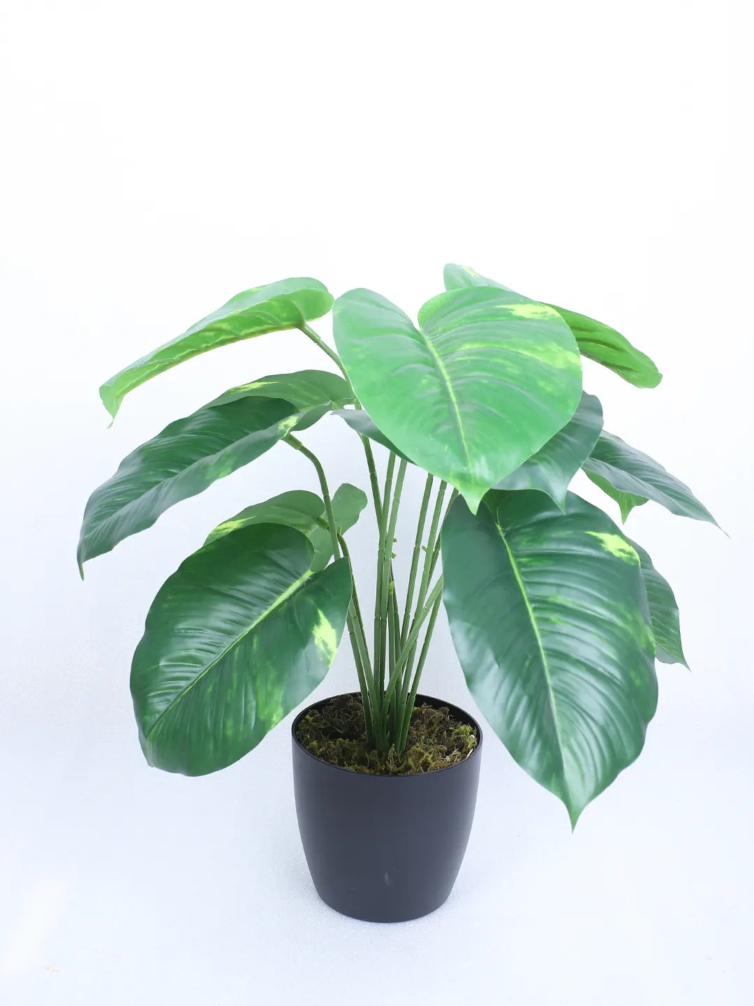 Artificial Miniature PVC Silk Photos Leaf Green Floor Plant with Pot (12 Leaves, 55 cm Tall, Green)
