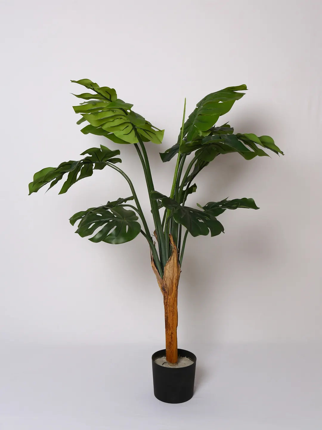 Artificial Midas Monstera Plant with Basic Black Pot - 120 cm Tall, Green