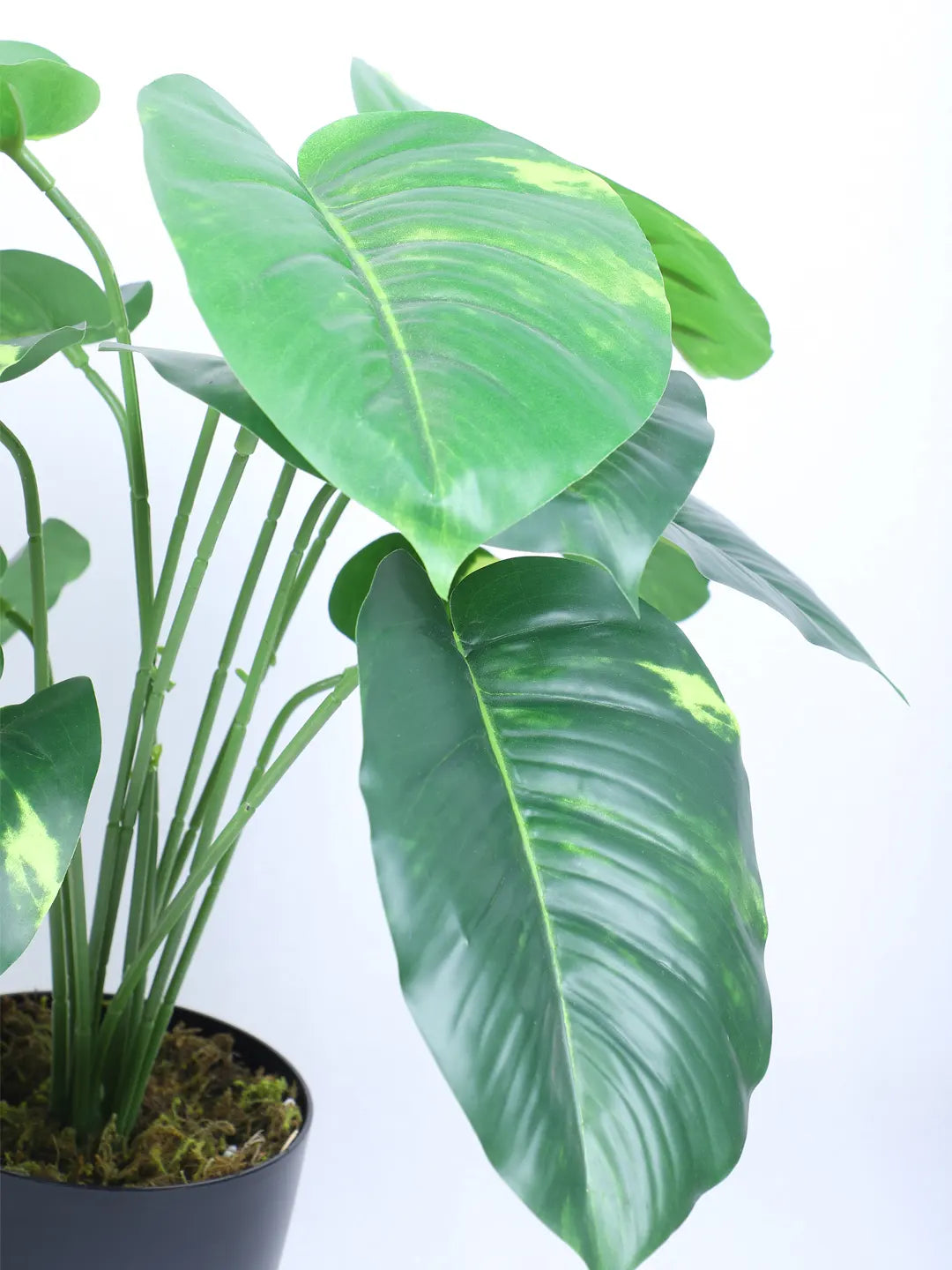 Artificial Miniature PVC Silk Photos Leaf Green Floor Plant with Pot (12 Leaves, 55 cm Tall, Green)