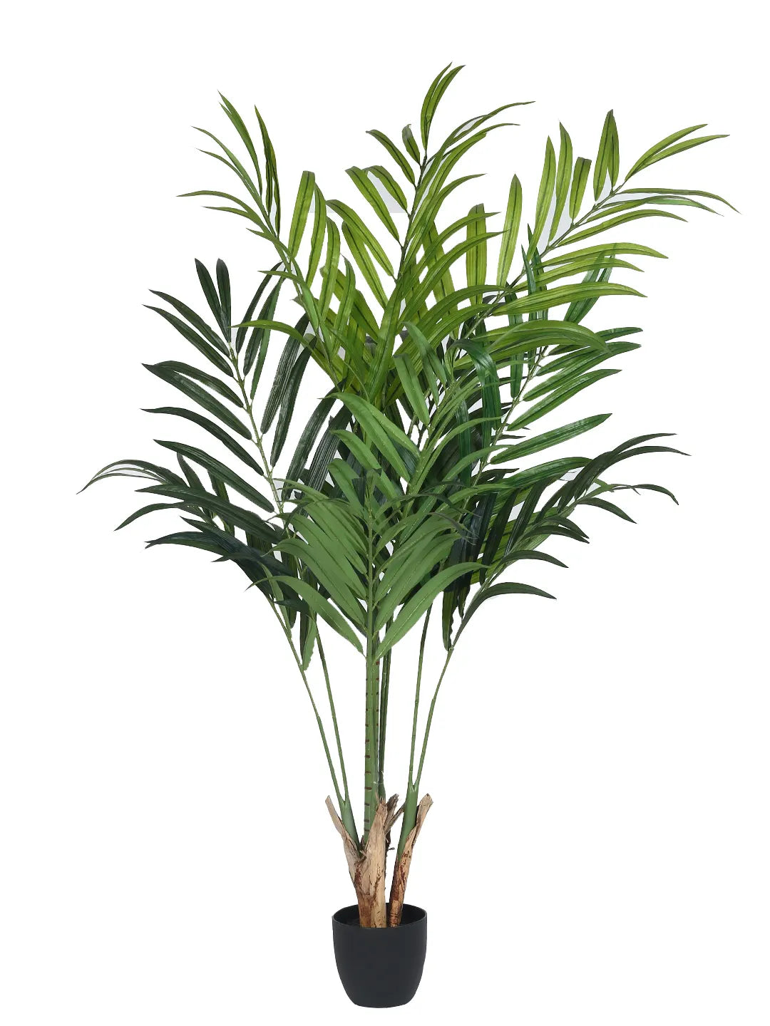 Artificial Phoenix Date Palm Tree with Basic Black Pot - 6 Feet