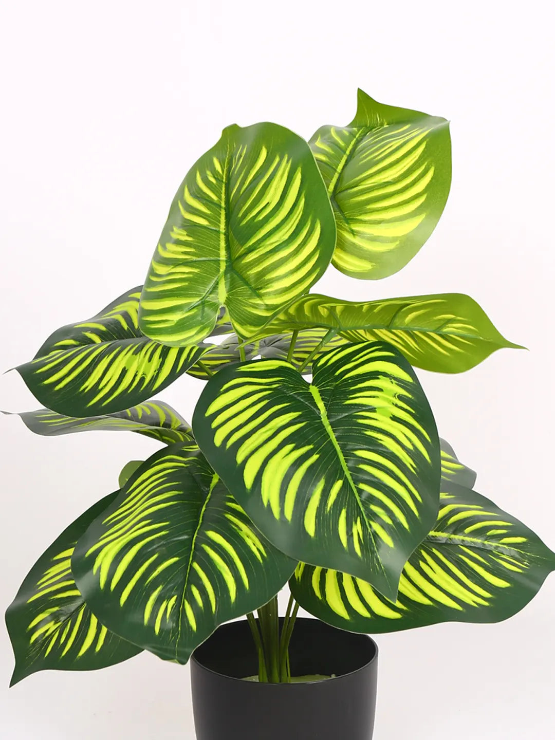 Artificial Miniature PVC Silk Watermelon Leaf Green Floor Plant with Big Leaves with Pot (12 Leaves, 55 cm Tall, Green)