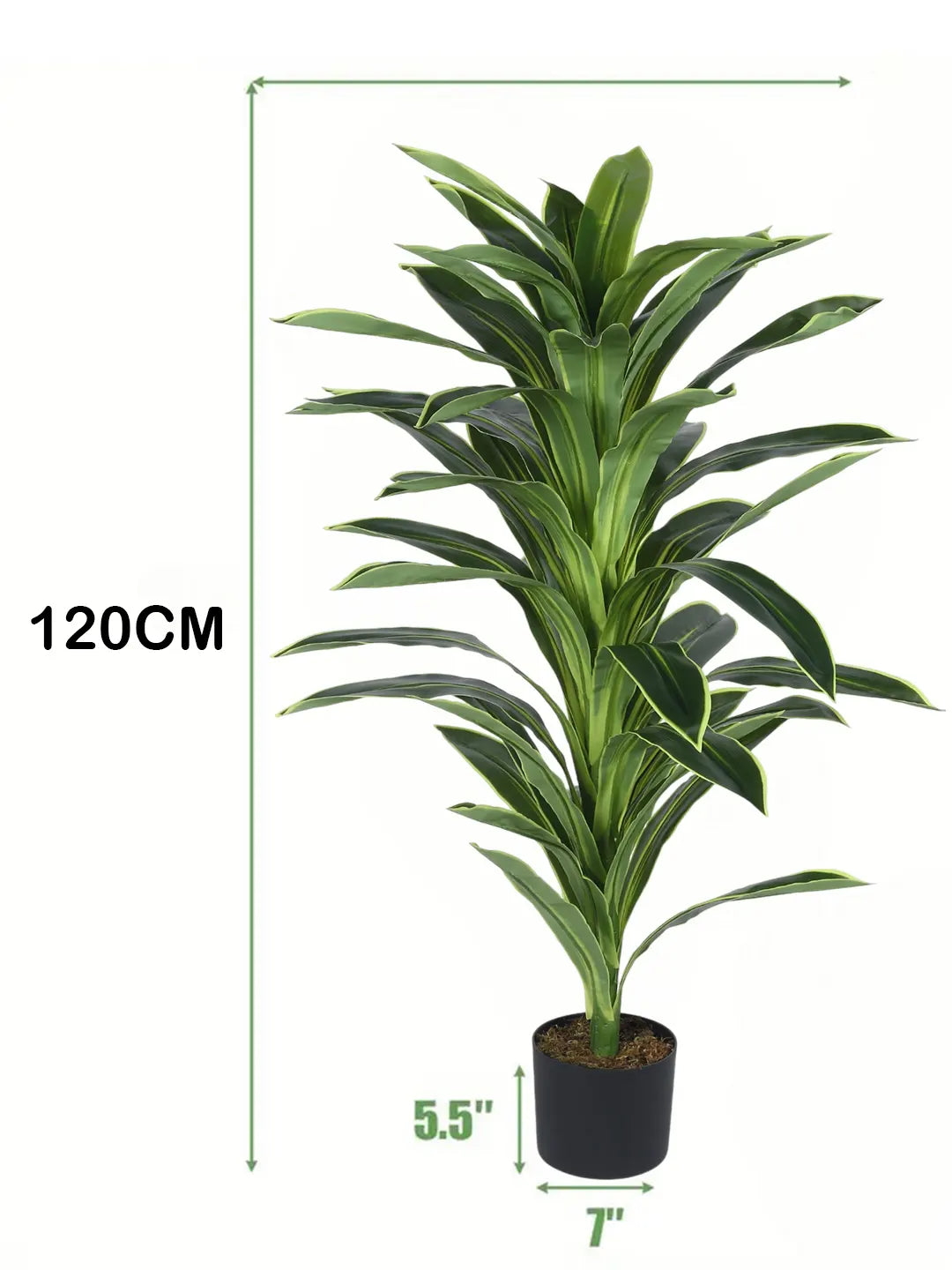 Artificial Botanic Dracaena Plant with Basic Black Pot - 4 Feet Green