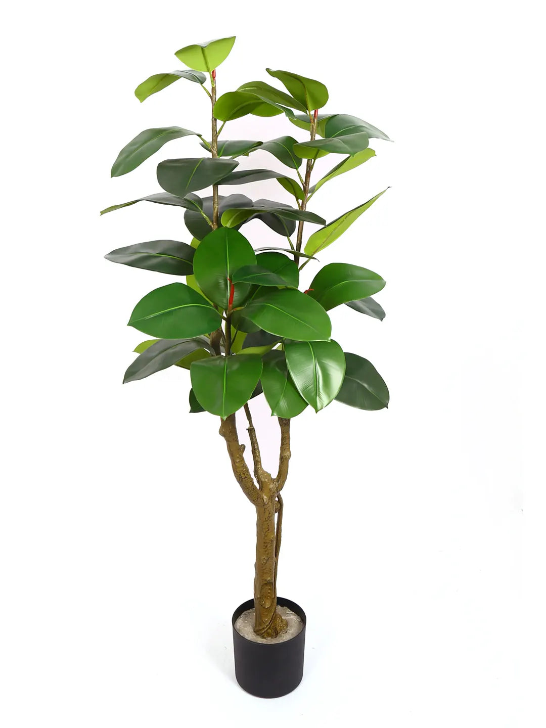 Artificial Leafy Rubber Plant with Basic Black Pot - 5 feet Green