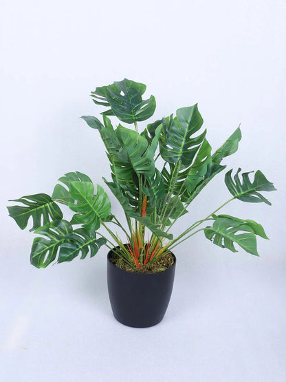 Artificial Miniature PVC Silk Monstera Leaf Green Floor Plant with Big Leaves with Pot (55 cm Tall, Green)