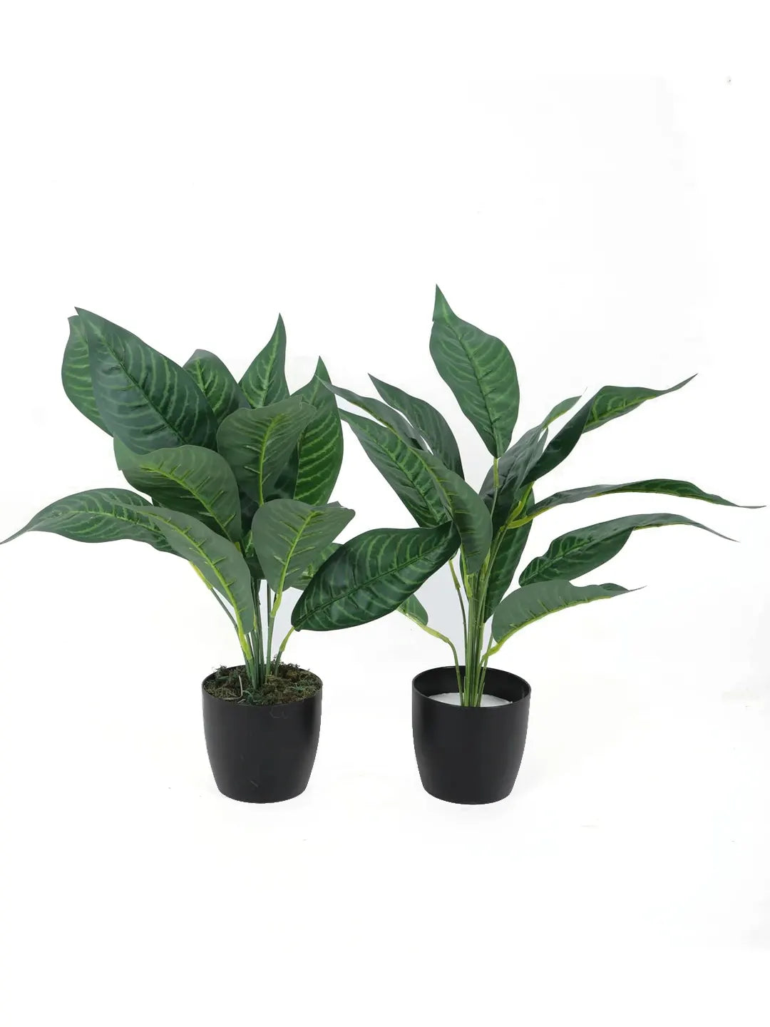 Artificial Green Iceton Croton Plant (12 Leaves with Basic Black Pot 45 Cm Tall Pack of 2)