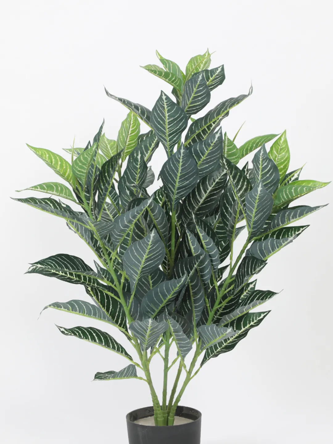 Artificial White Veined Croton Plant with Basic Black Pot (85 cm Tall, 104 Light Green Leaves)